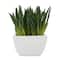 8" Green Foliage Artificial Plant with White Ceramic Pot